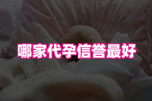 点点助孕网 1